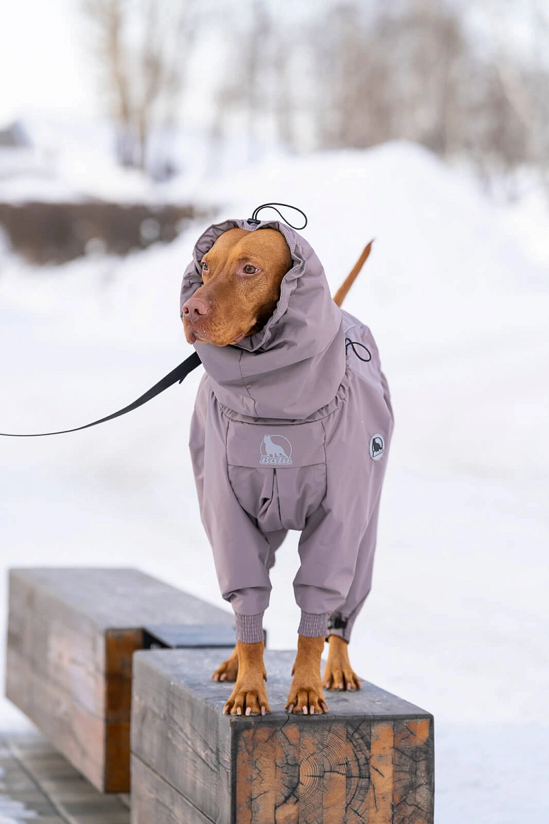 Зимний комбинезон'24