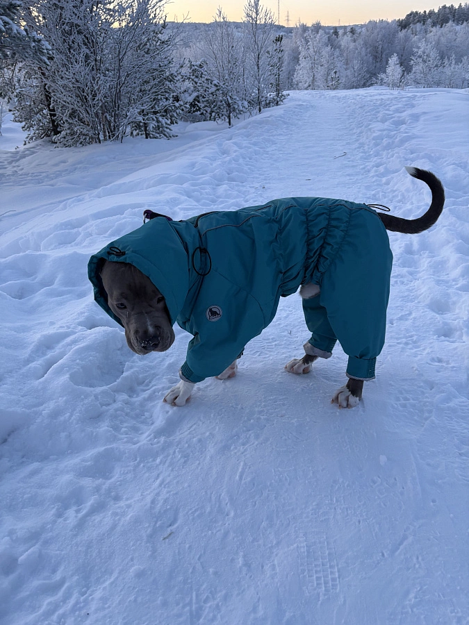 Фотография к отзыву от Соловьева Виктория Васильевна .