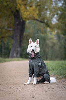 Дождевик'24