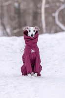 Зимний комбинезон'24