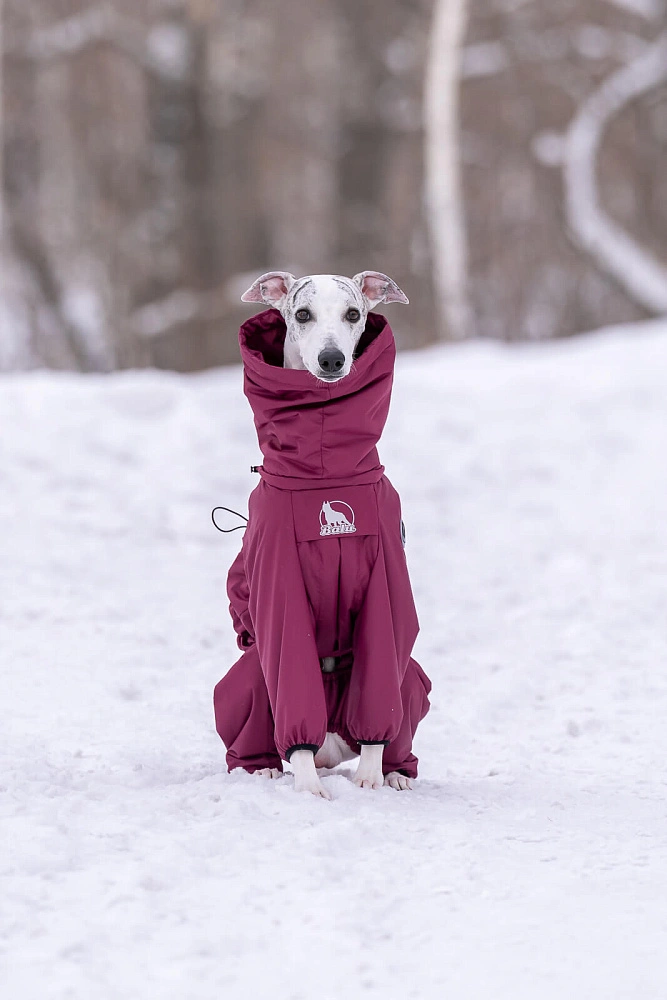 Зимний комбинезон'24