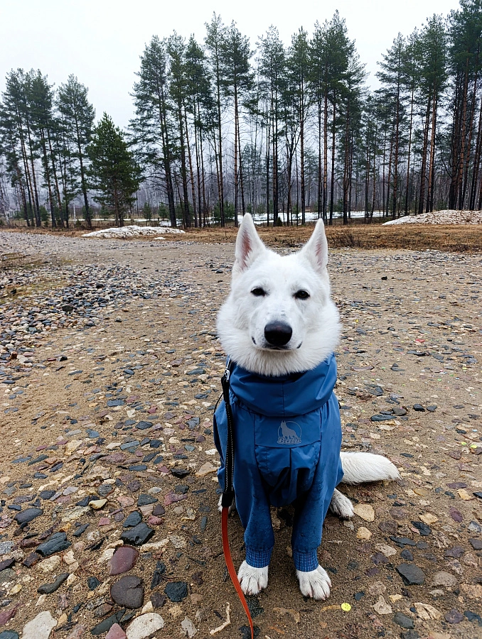 Фотография к отзыву от Татьяна.